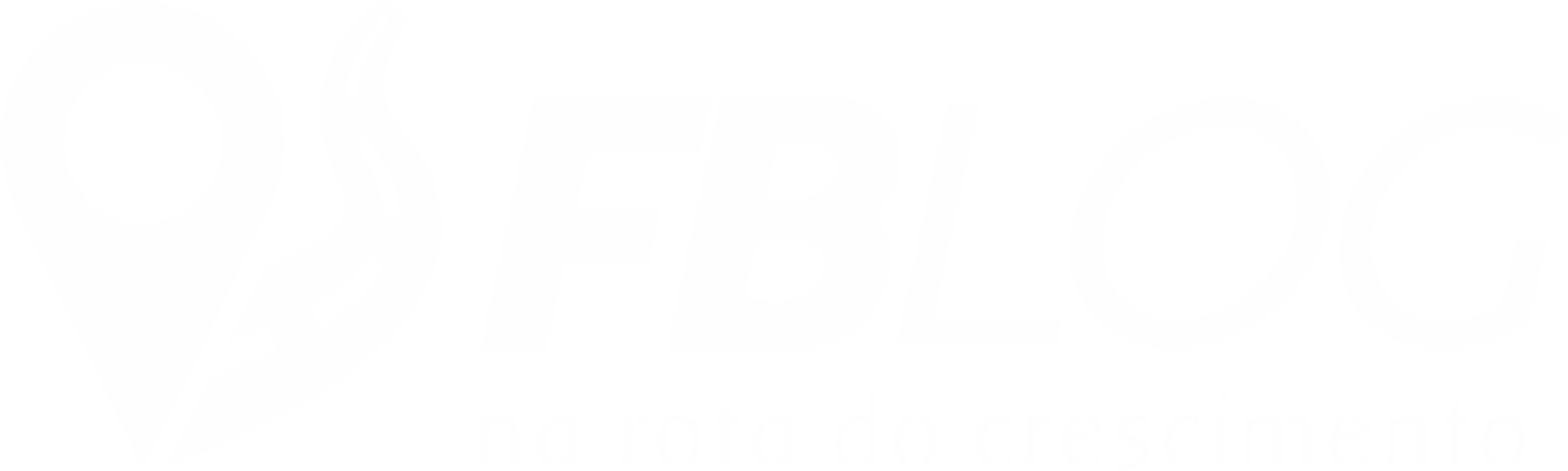 FBLog — na rota do crescimento